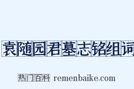 袁随园君墓志铭组词是什么意思的图片